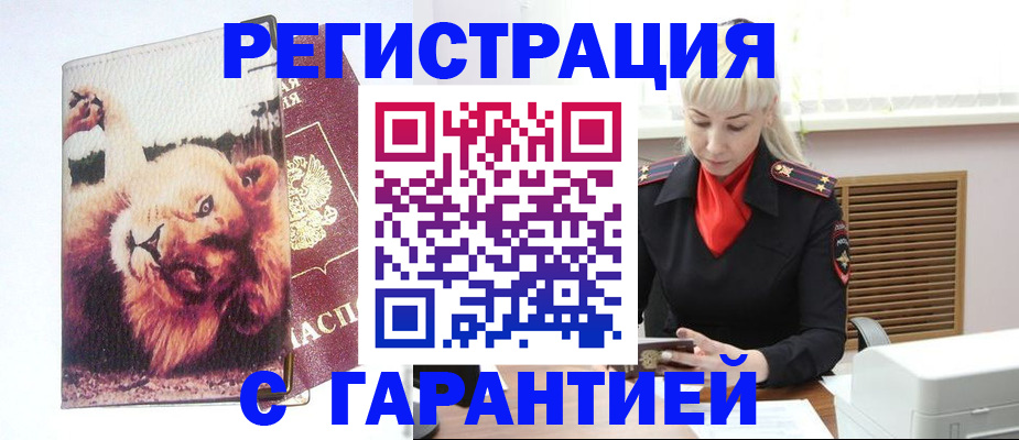 прописка от собственника в Елизово